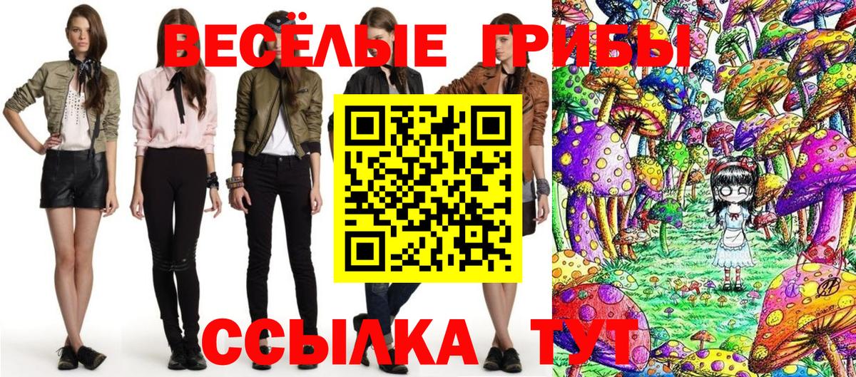 Кудрово  купить  цена  Вход с VPN  Псилоцибиновые грибы Psilocybe 